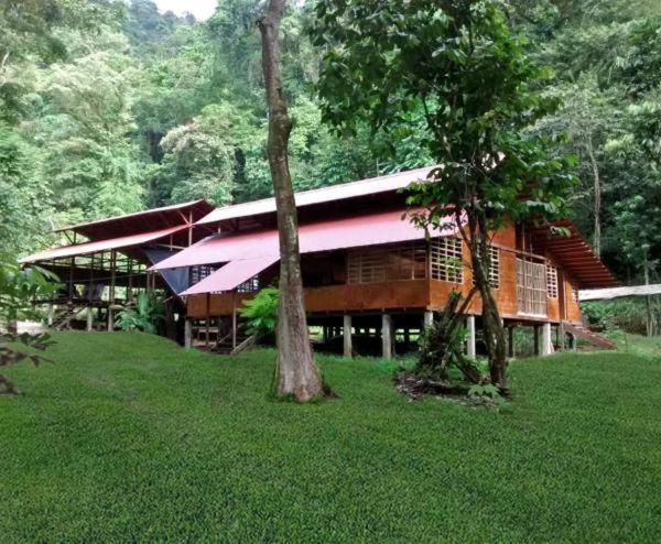 Safio. Una Casa En El Paraiso. Nuquí المظهر الخارجي الصورة